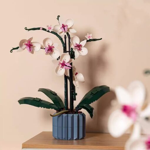 Orchid (Large)