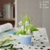 Potted - 7221 (Lily of The Valley)