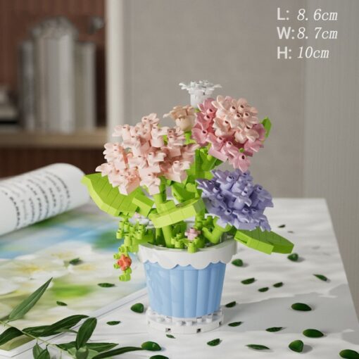 Potted - Carnation