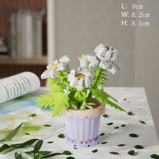 Potted - Daisy