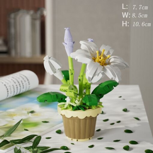 Potted - Lily