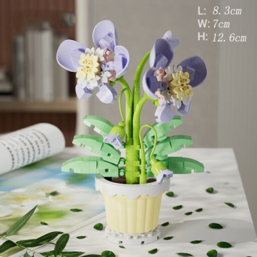 Potted - Orchid
