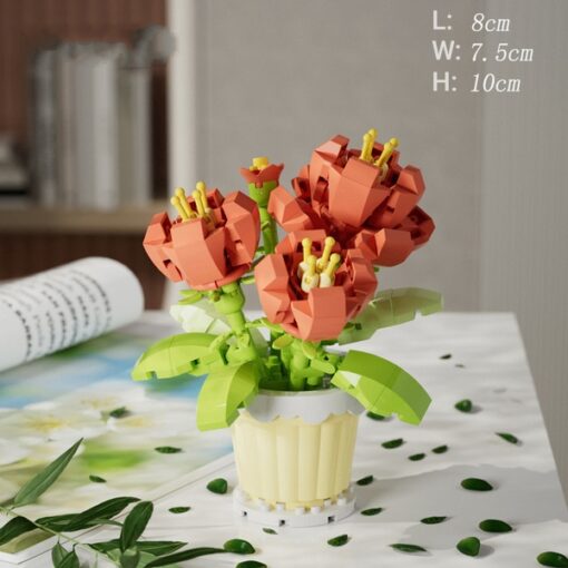 Potted - Peony