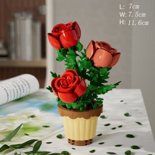 Potted - Rose
