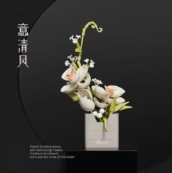 Vase - Phalaenopsis