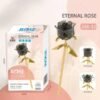 Single Stalk - Crystal Black Rose