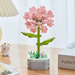 Surprise - D5 (Carnation Caryophyllaceae)